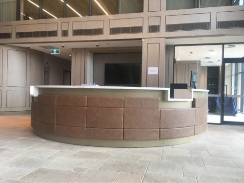 IMG_4525